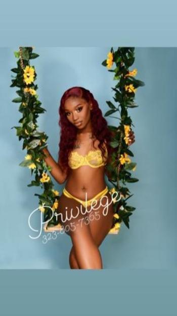 3238057365, female escort, San Jose